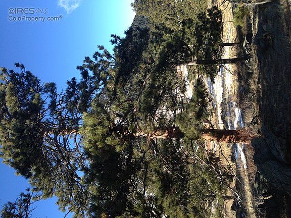 3rd image of 1757 Silver Tree Ln