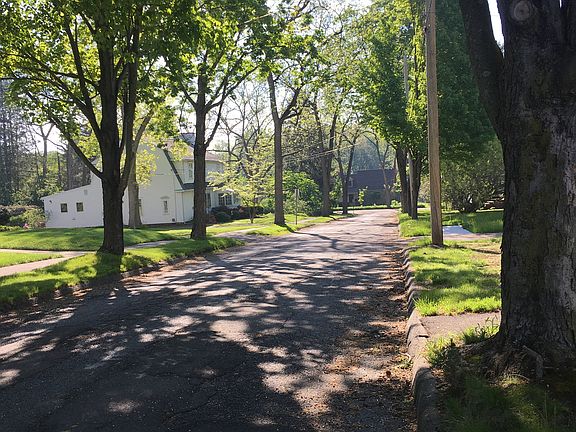 quiet tree lined street
