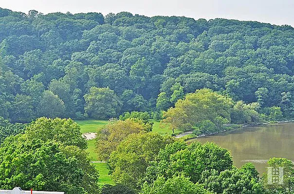 Sold by Halstead Real Estate | media 7