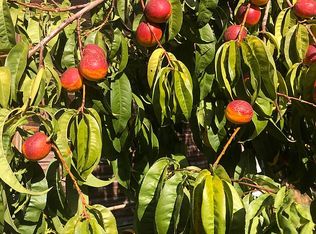 1550 Madison St, Baker City, OR 97814