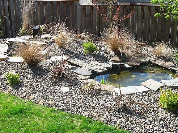 Backyard Water Feature