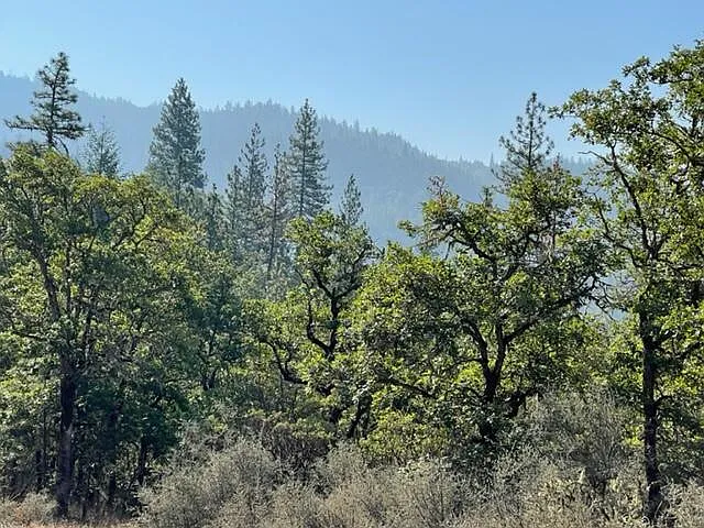 199 River Heights Rd photo 1