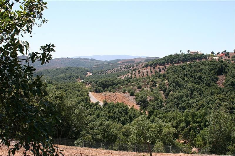 2nd image of Via Yerba