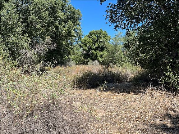 2nd image of 35010 Willow Creek Rd