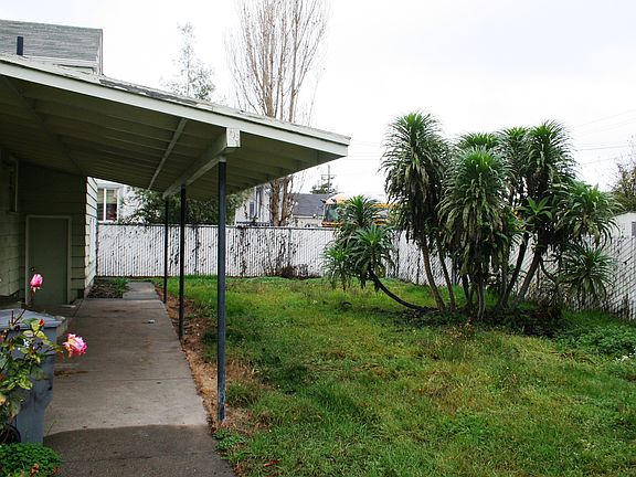 IMG_0017_back yard_12202013