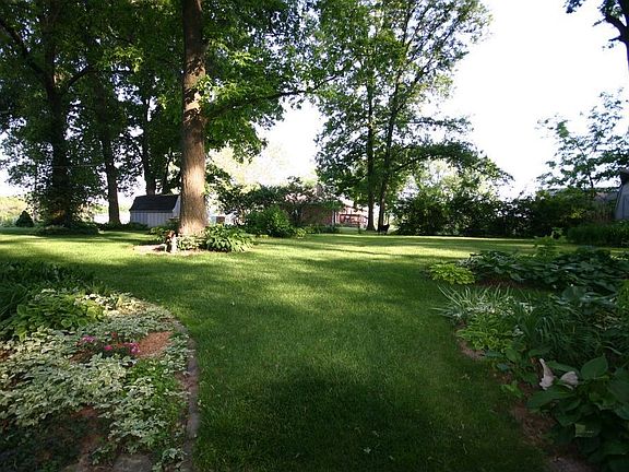 Backyard4- April 2007