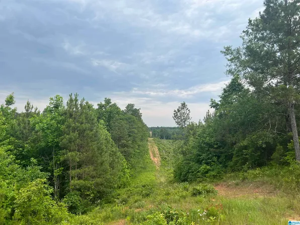 0 County Road 744 #1, Thorsby, AL 35171