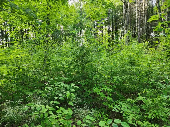 0 Gove Drive, Belmont, NH 03220