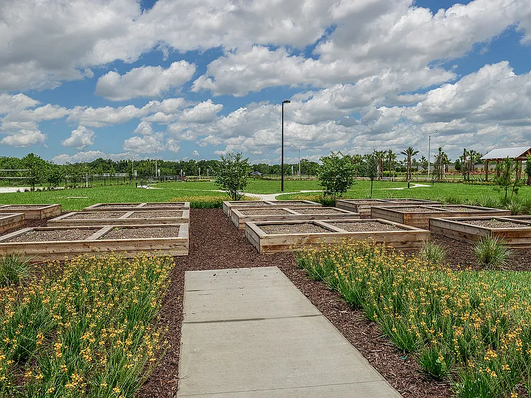 Community garden boxes