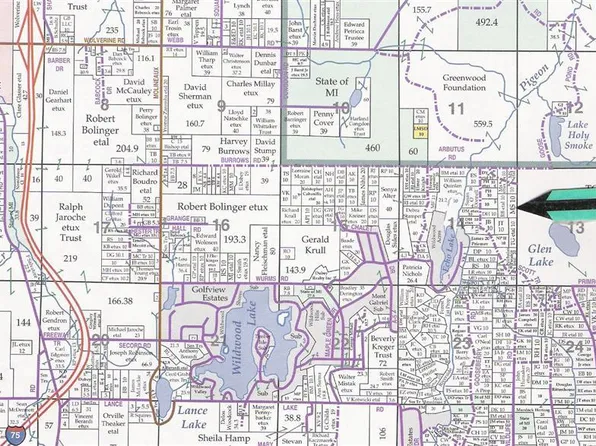 Burrows Canopy, Wolverine, MI 49799