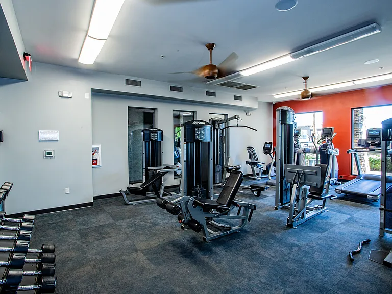 24/7 Fitness Center with Free Weights