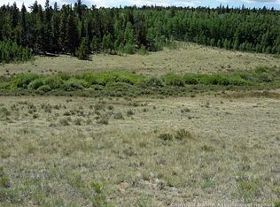 195 Bluestem Way, Fairplay, CO 80440