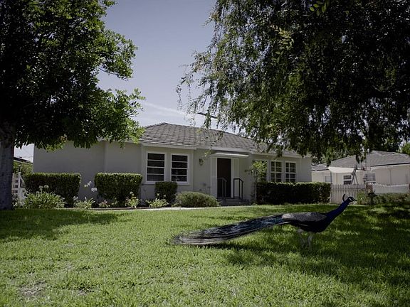 Greeting from Peacock