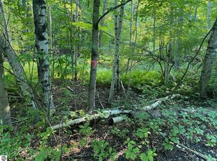 Allegheny Trail Mult, Evart, MI