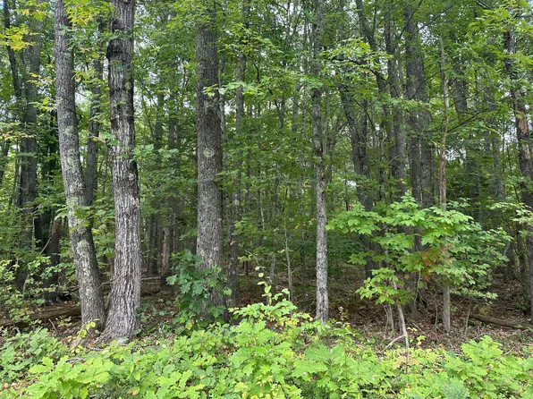L23-1 Buzzell Hill Road, Hope, ME 04847