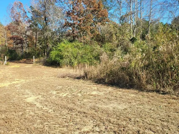 0 County Road 59, Nauvoo, AL 35578