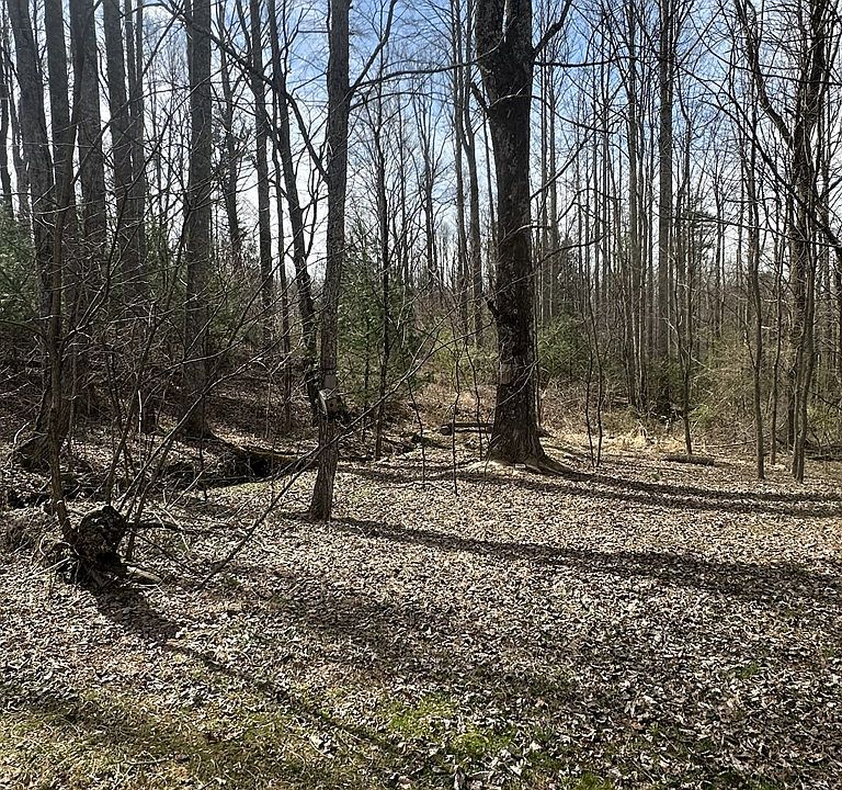 40th image of this home