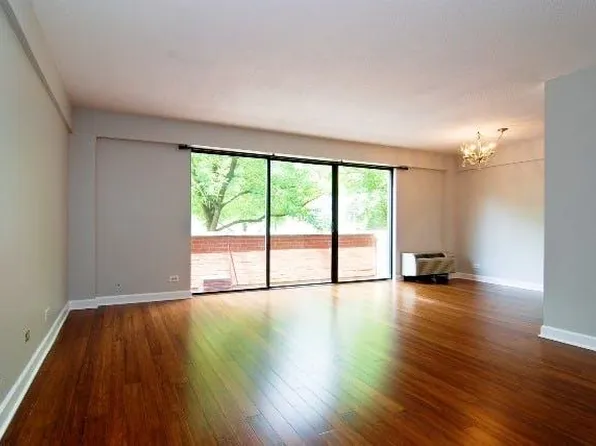 1115 S Plymouth Ct APT 109, Chicago, IL 60605