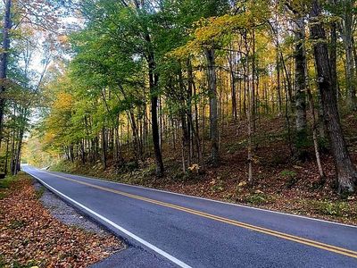 0 Rogues Fork Rd, Bethpage, TN, 37022