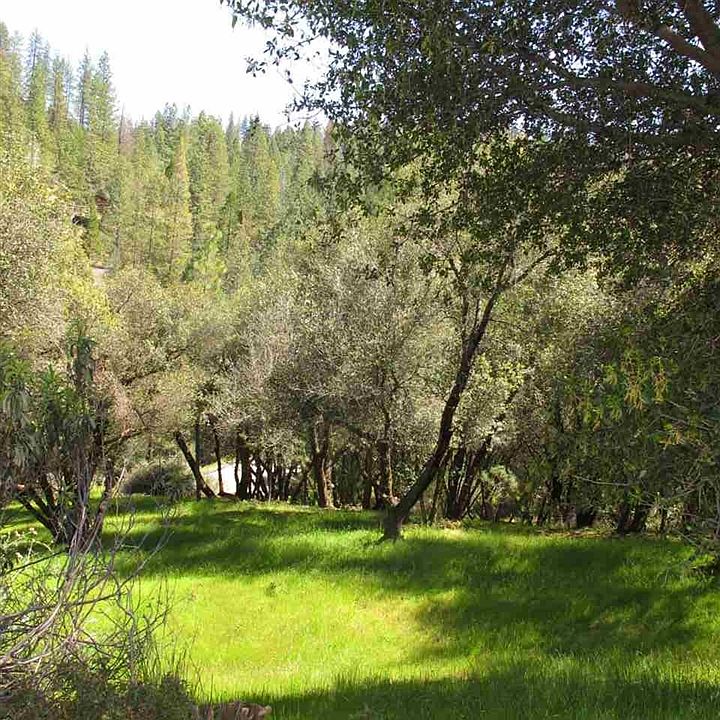 1st image of 19847 Pine Mountain Dr