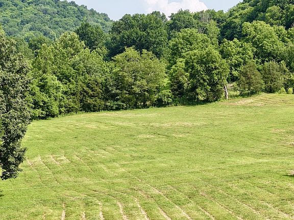 15th image of 161 Fowler Rd