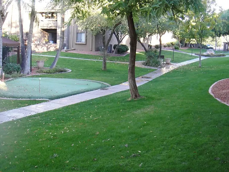 3825 E Camelback Rd #217 — Photo 7