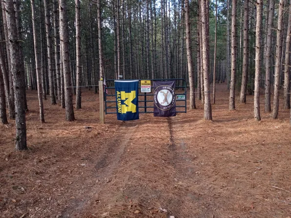 4741 N Mac Rd, Irons, MI 49644