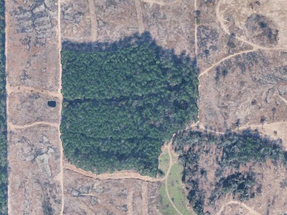 2nd image of Morgan Cemetary Rd