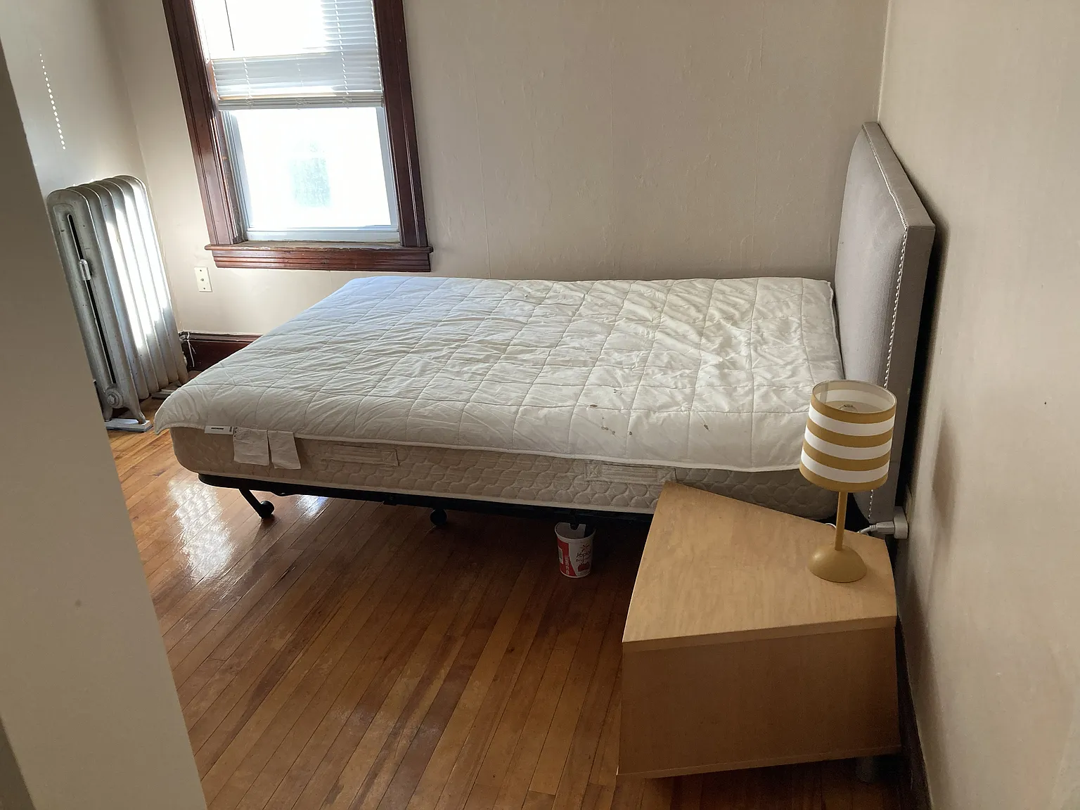 1 bed, 450 sqft, $900 — Photo 4