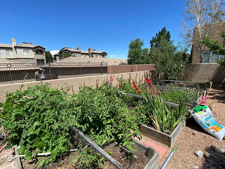 8701 Desert Finch Ln NE — Photo 22