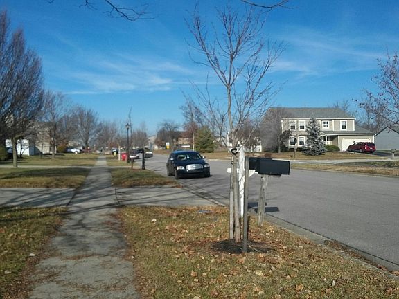 4th image of 3693 Carlotta St