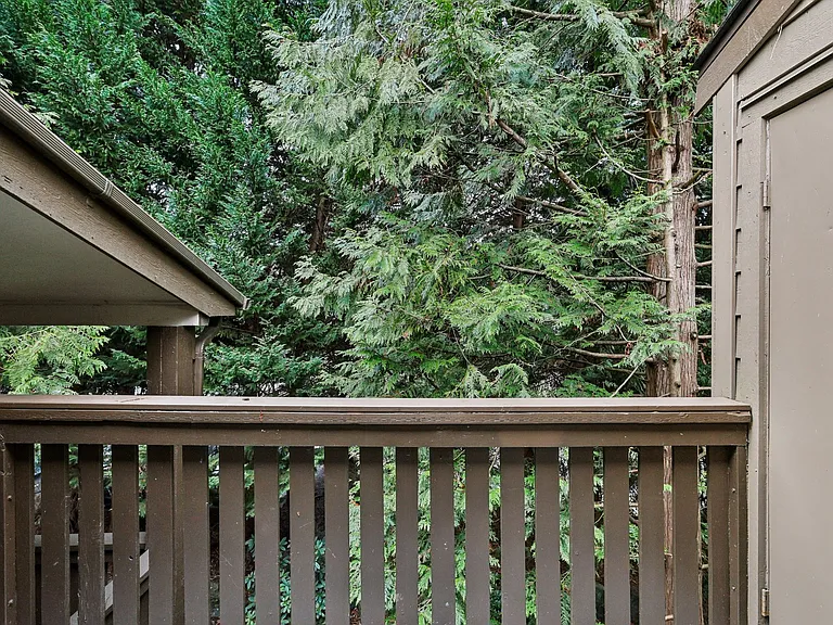 Campbell Run Apartments — Photo 47