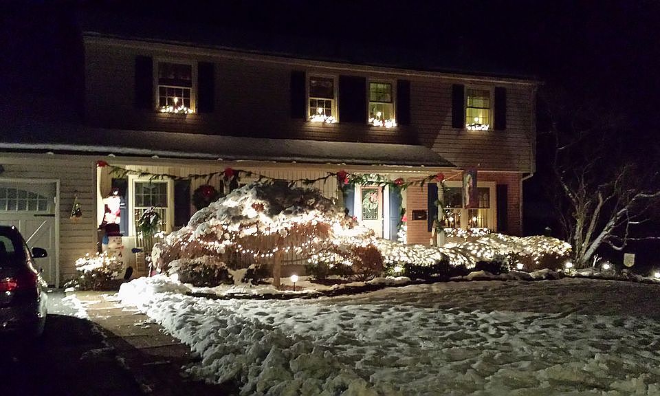 Professional landscaping!