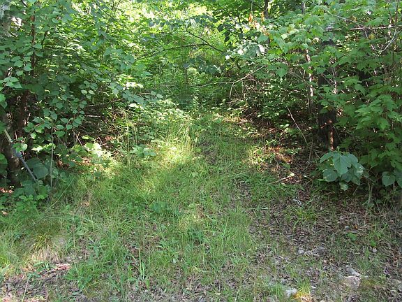 3rd image of 3297 Aspen Ln