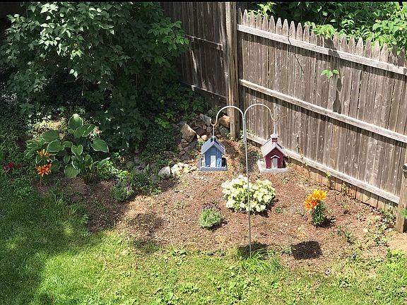 Fenced in yard