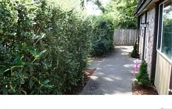 13951 SE 173rd Pl #3 — Photo 8