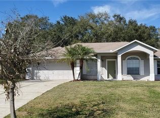 10542 Mira Lago Ln, Clermont, FL 34711
