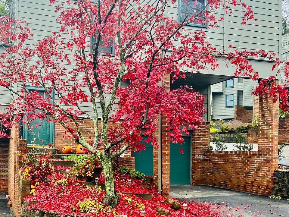 1st image of 26 Timberline Ct