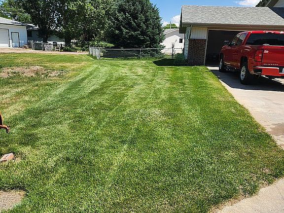North side of house yard 