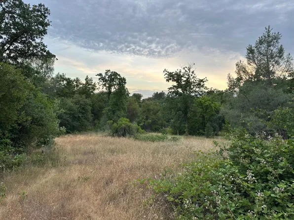 Bean, Auburn, CA 95603
