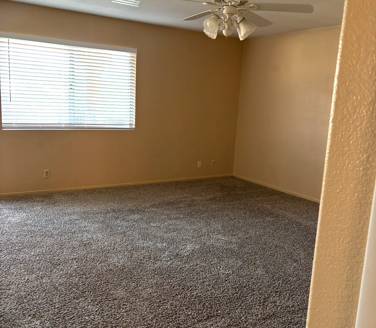 2 bed, 996 sqft, $1,100 — Photo 4