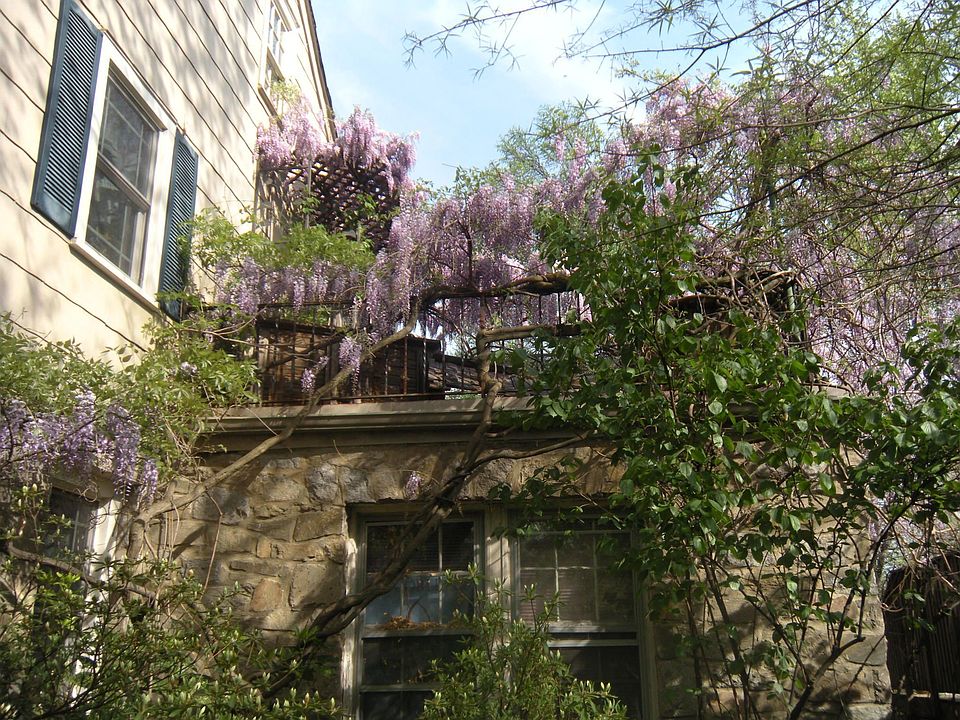 Spring arrrives