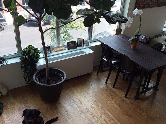 4th image of 224 Wythe Ave #660B