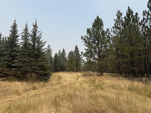 3rd image of 112XX S Spruce Tree Ln