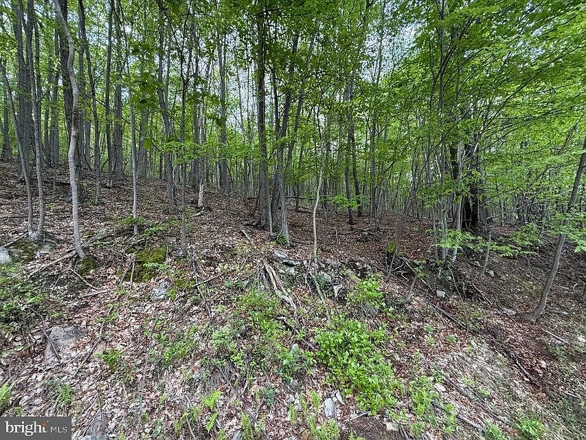 2nd image of 0 Cherry Run Rd
