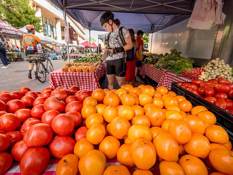 Farmers market with local vendors and fresh produce