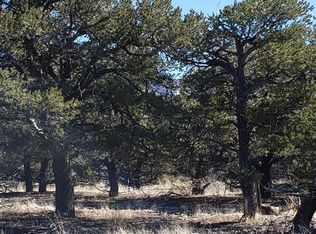 28 Mill Run Rd, Mosca, CO 81146