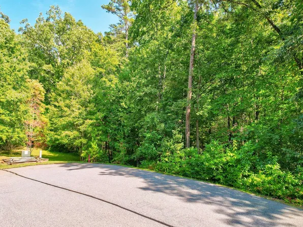LOT 4 Morning Dew Holw, Morganton, GA 30560