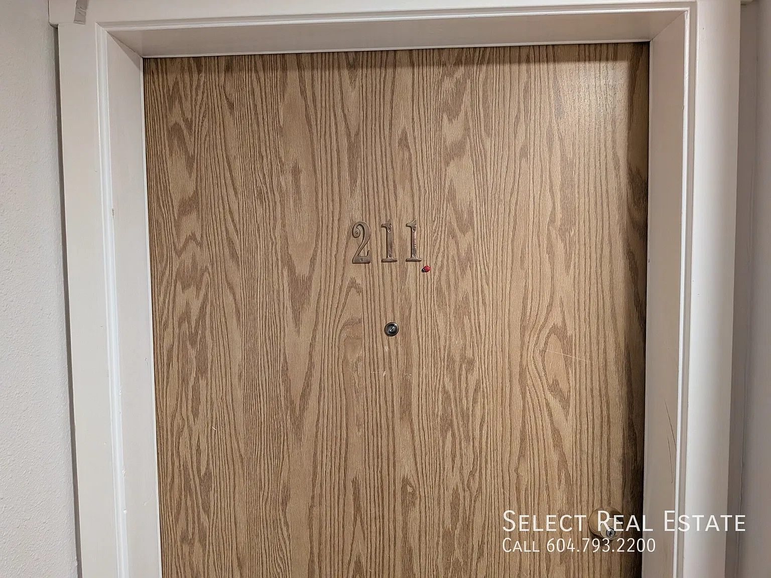 1 bed, 700 sqft, $1,200 — Photo 2