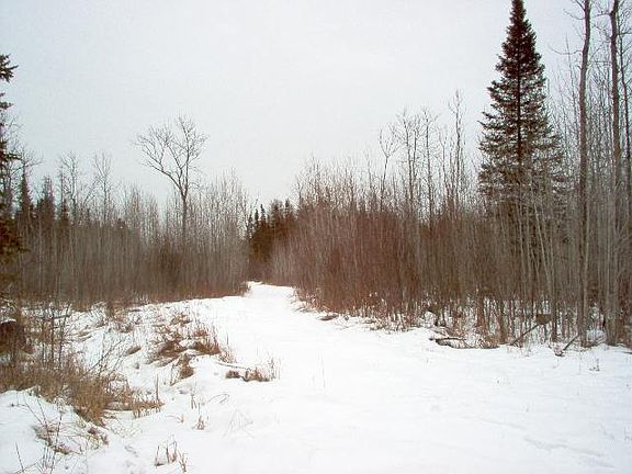 3rd image of XXX County Rd 73